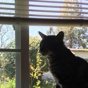 Meet your Posher, Darla